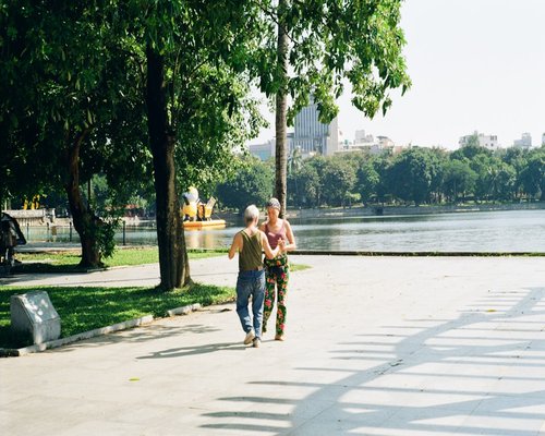Happy senior couple jogging in a park during sunny day
